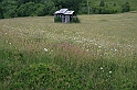 Karpaty+Krym 06.2007 168